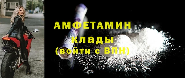 прущие грибы Заводоуковск