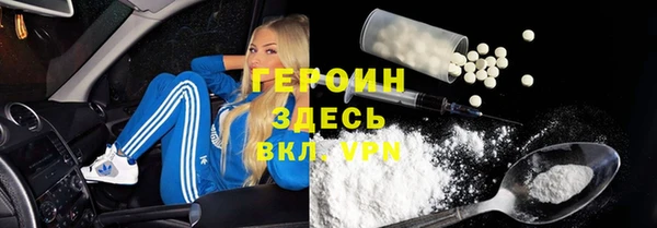 прущие грибы Заводоуковск