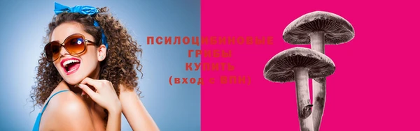 прущие грибы Заводоуковск