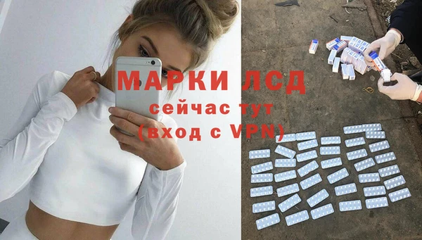 прущие грибы Заводоуковск