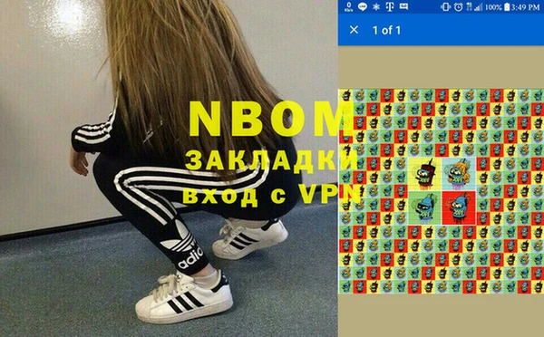 прущие грибы Заводоуковск