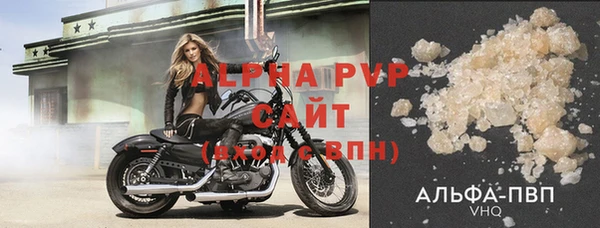 прущие грибы Заводоуковск