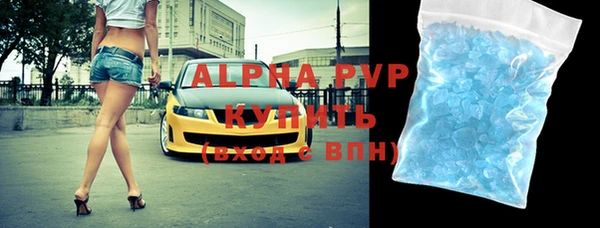 прущие грибы Заводоуковск