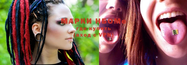 прущие грибы Заводоуковск