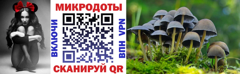 Галлюциногенные грибы Magic Shrooms  цены наркотик  даркнет состав  Коломна 